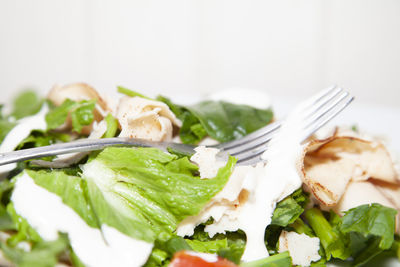 Close-up of food served in plate