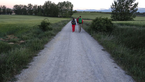 Rear view of a couple walking on road