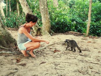 Woman playing with raccoon in forest 