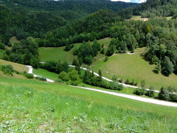 Scenic view of green landscape