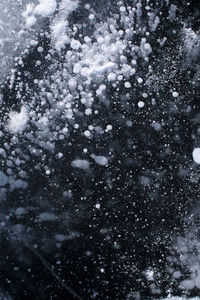 View of trees on snow covered landscape
