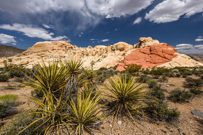 Scenic view of rocks in desert against sky