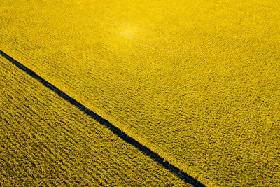 High angle view of yellow road on field