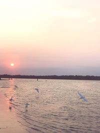 Swan swimming in lake against sky during sunset