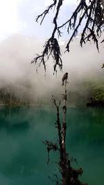 Scenic view of lake