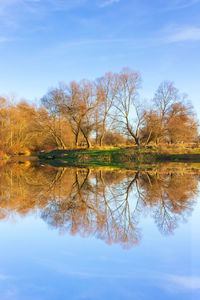 Reflection of trees in lake against sky