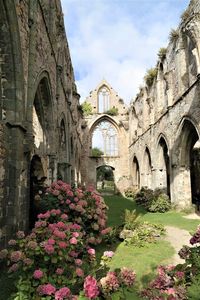 Flowering plants by historic building against sky