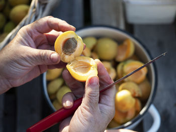 Close-up of hand holding apple