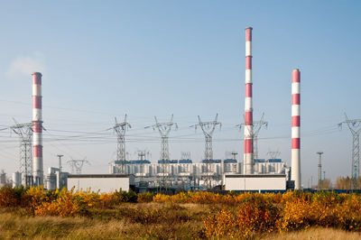 Plants growing by factory against clear blue sky