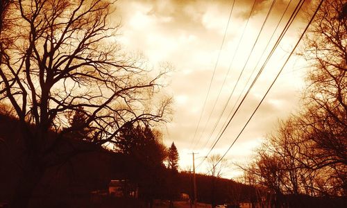 Silhouette trees against sky during sunset