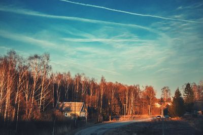 Bare trees against cloudy sky