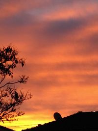 Low angle view of silhouette trees against dramatic sky