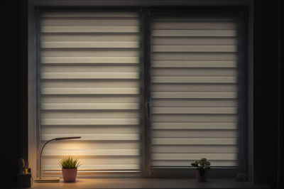 Potted plants seen through window