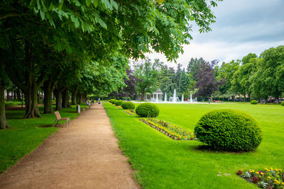 Footpath in garden