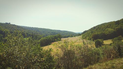 Scenic view of landscape against clear sky