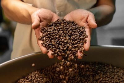 Close-up of hand holding coffee beans