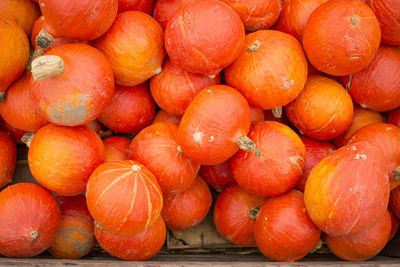 Full frame shot of pumpkins at market