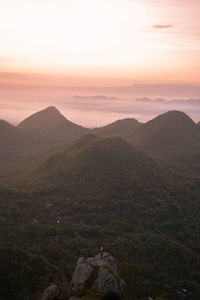 Cumbiri hil, indonesia