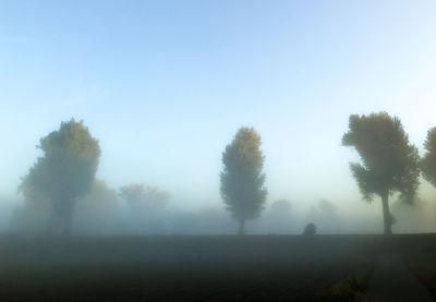Trees on field against sky