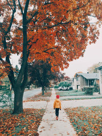 Rear view of girl walking on footpath during autumn