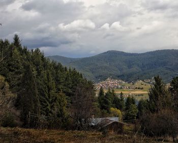 Trees and mountains against sky
