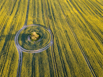 High angle view of agricultural field