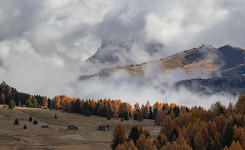 Panoramic view of trees on landscape against sky in dolomites mountains 