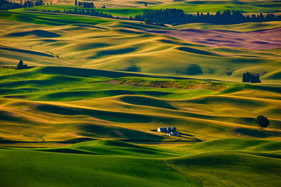 High angle view of golf course