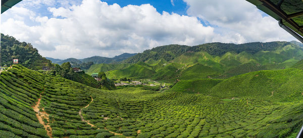 Panoramic view of agricultural field against sky