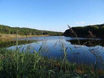 Scenic view of lake against blue sky