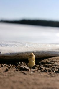 Close-up of sand on beach