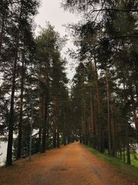 Road amidst trees in forest against sky