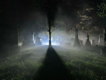 Trees on field against sky at night