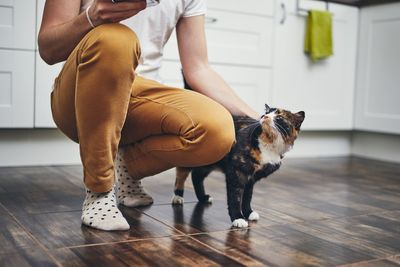 Low section of man crouching by cat on hardwood floor