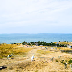 Scenic view of sea against sky