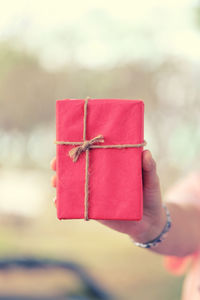 Cropped hand holding gift box