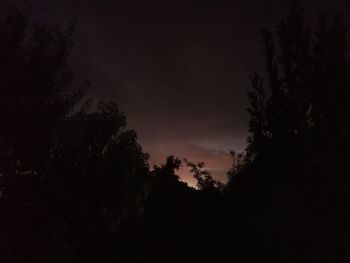 Low angle view of silhouette trees against sky at night