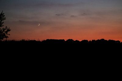 Silhouette trees against sky during sunset