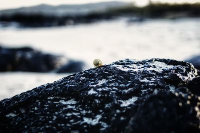 Close-up of rock formation