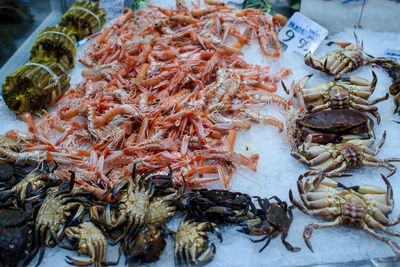 Close-up of crab for sale in market