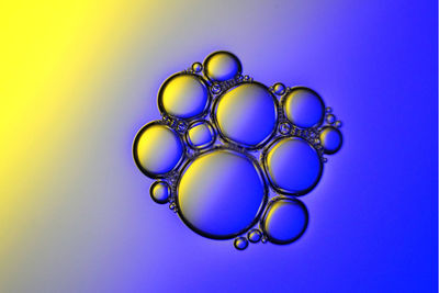 Close-up of bubbles over coloful background