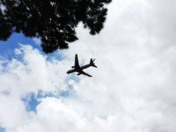 Low angle view of bird flying against cloudy sky