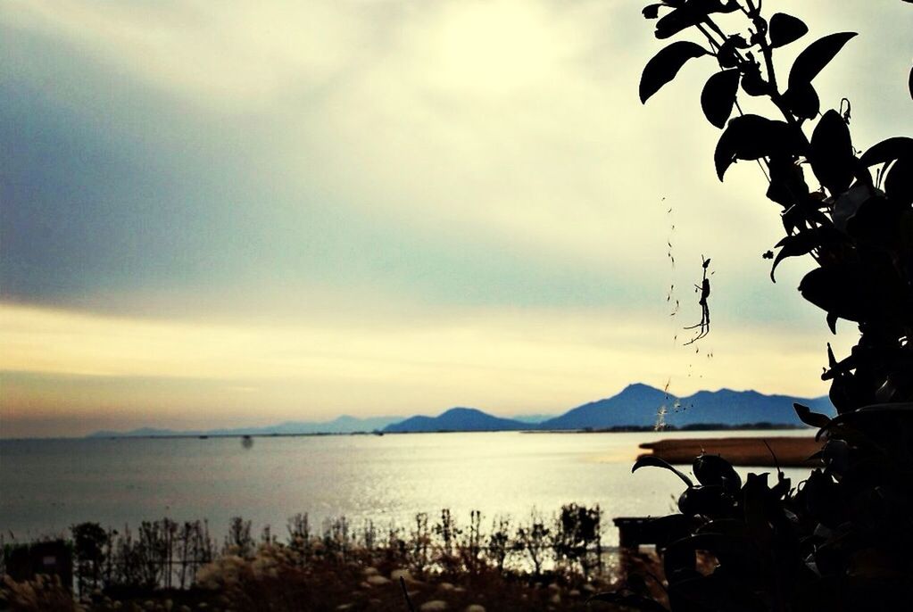 water, sky, sea, tranquility, tranquil scene, scenics, cloud - sky, beauty in nature, nature, beach, horizon over water, shore, nautical vessel, tree, cloud, mountain, boat, lake, cloudy, idyllic