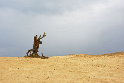 View of sculpture in desert