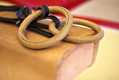 Close-up of gymnastic rings on pummel horse