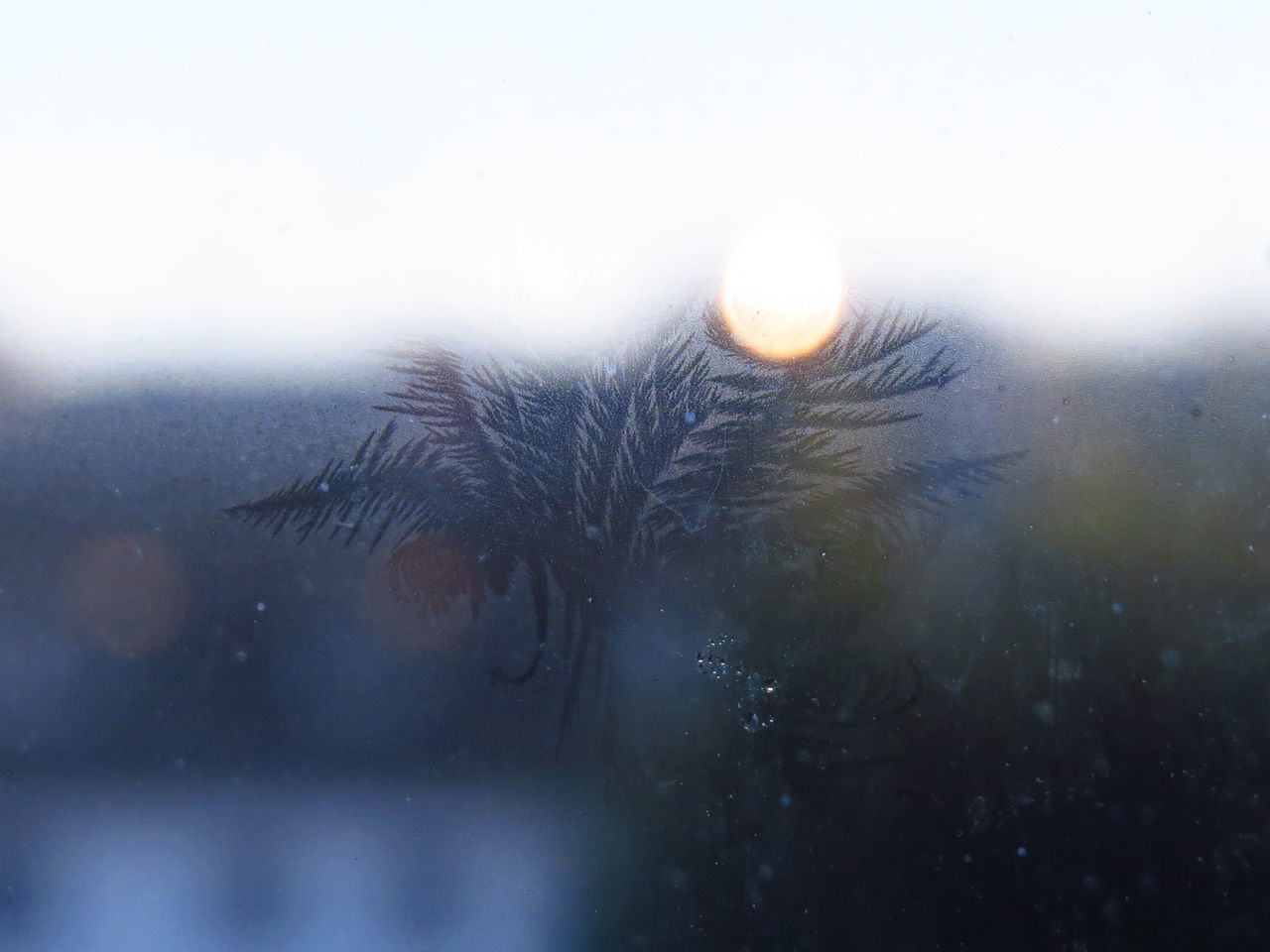 CLOSE-UP OF SNOW ON WINDOW AGAINST SKY