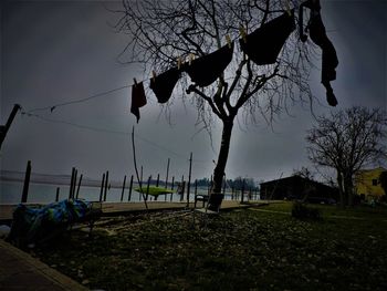 Bare trees hanging against sky