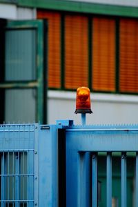 Bird perching on railing against building