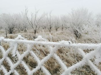 Snow covered landscape