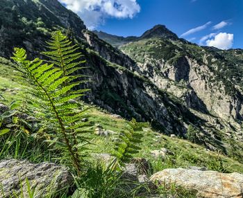 Scenic view of mountains against sky